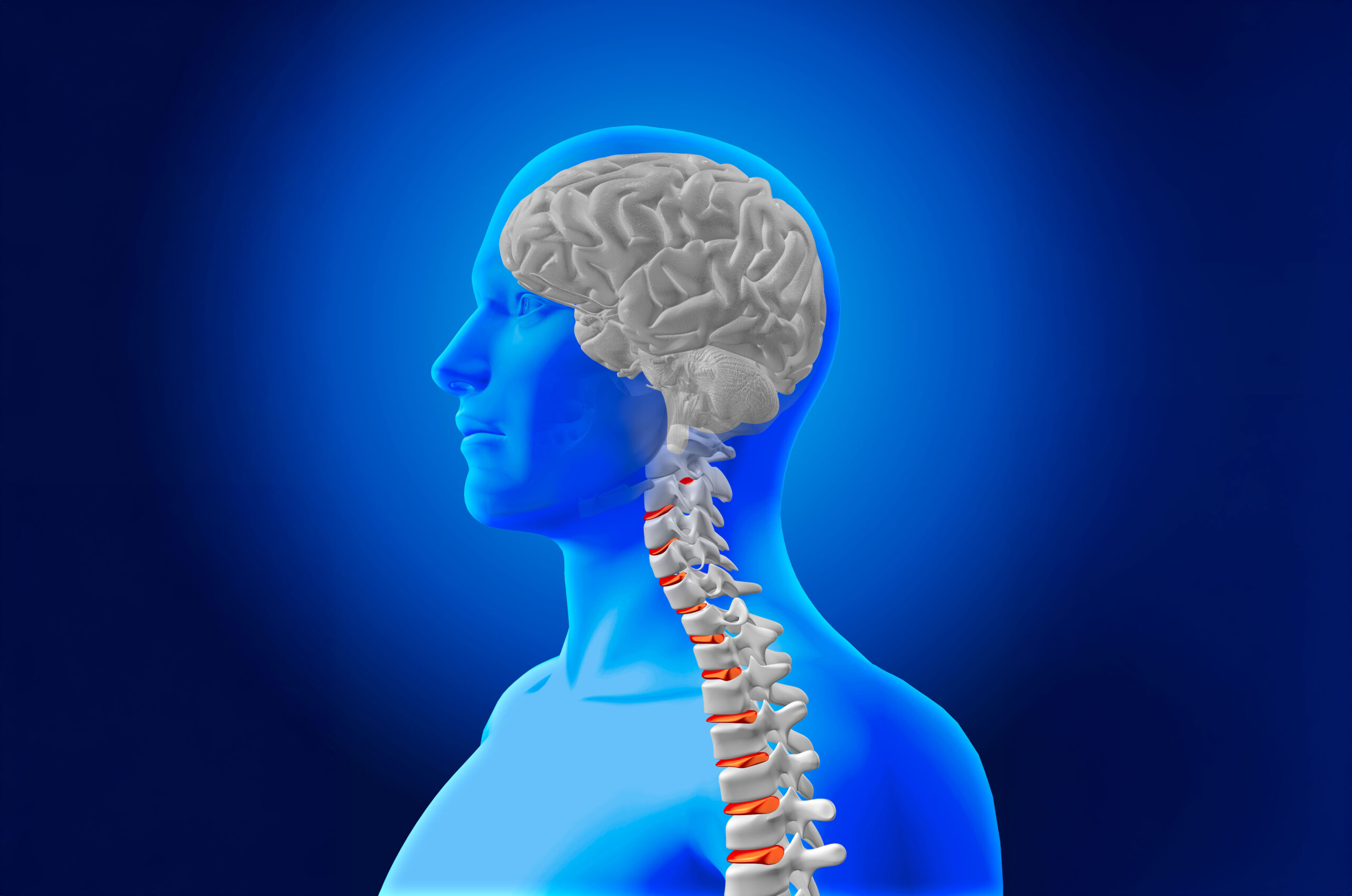 imagen 3d de un hombre con dolor medular